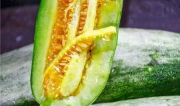 免费吃网红瓜网站推荐,免费吃网红瓜网站带你畅游娱乐圈